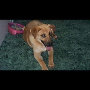 Meet your Posher, William